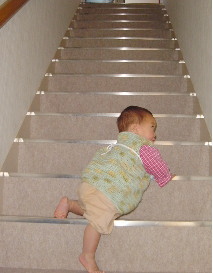 �K�i�����̗U�f