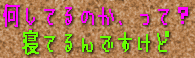 何してるのかって? 寝てるんですけど。